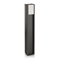 Philips - Kültéri állólámpa BRIDGE 1xE27/14W/230V IP44 80,2 cm