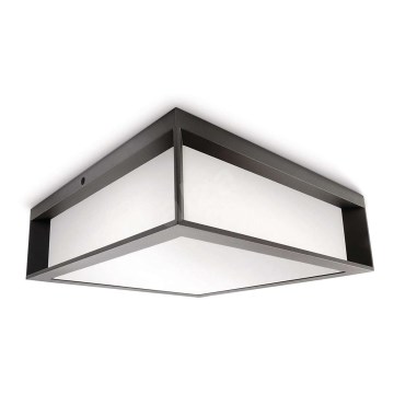 Philips - Kültéri mennyezeti lámpa 2xE27/14W/230V