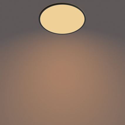 Philips - LED Dimmelhető kültéri lámpa SUPERSLIM SCENE SWITCH LED/15W/230V IP54 fekete