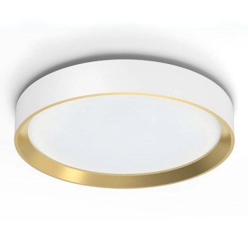 Philips - LED Dimmelhető mennyezeti lámpa HANNO SCENE SWITCH LED/24W/230V 4000K fehér