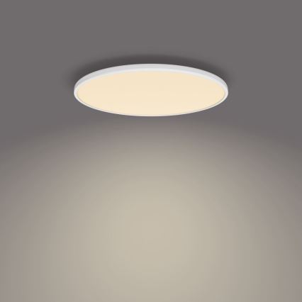 Philips - LED Dimmelhető mennyezeti lámpa SCENE SWITCH LED/36W/230V átm. 50 cm 2700K fehér