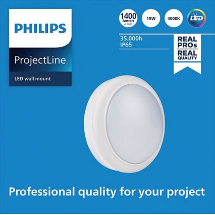 Philips - LED Fali lámpa PROJECTLINE LED/15W/230V IP65