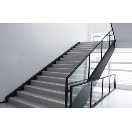 Philips - LED Fali lámpa PROJECTLINE LED/15W/230V IP65