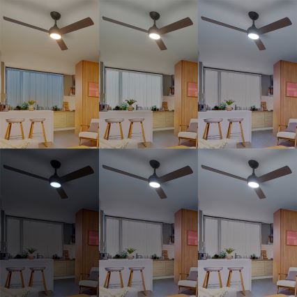 Philips - LED-es, dimmelhető mennyezeti ventilátor CIVX LED/24W/230V + távirányító