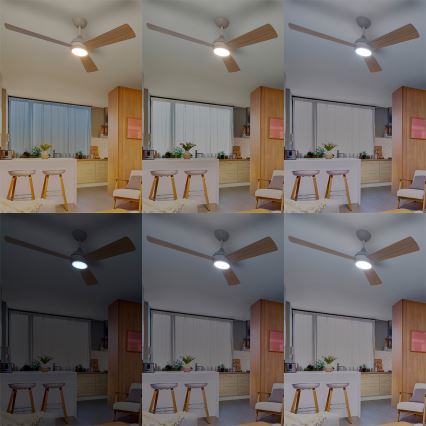 Philips - LED-dimmelhető mennyezeti ventilátor CIVX LED/24W/230V + távirányító