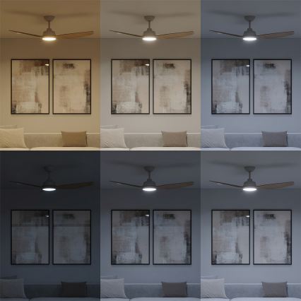 Philips - LED dimmelhető mennyezeti ventilátor OLAS LED/24W/230V, átmérő 132 cm, fehér/barna + távirányító