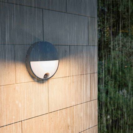 Philips - LED kültéri fali lámpa érzékelővel CAPRICORN LED/4,3W/230V IP44
