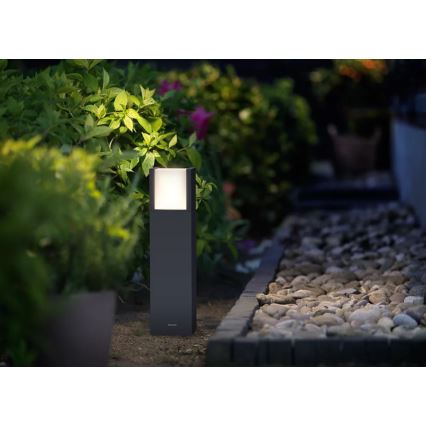 Philips - LED Kültéri lámpa ARBOUR LED/3,8W/230V 40 cm 2700K IP44