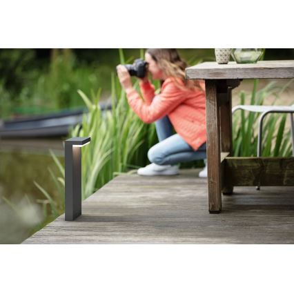 Philips - LED Kültéri lámpa BUSTAN LED/3,8W/230V 2700K 40 cm IP44