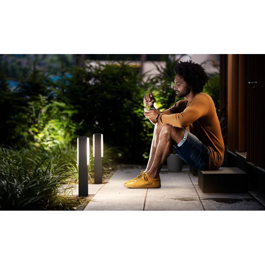 Philips - LED Kültéri lámpa STRATOSPHERE LED/3,8W/230V 42 cm 2700K IP44