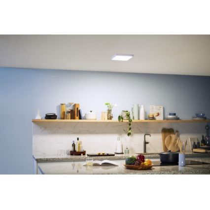 Philips - LED Mennyezeti lámpa LED/12W/230V 4000K fehér