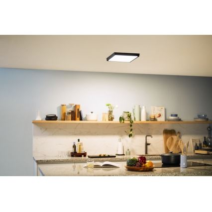 Philips - LED Mennyezeti lámpaLED/20W/230V 2700K fekete