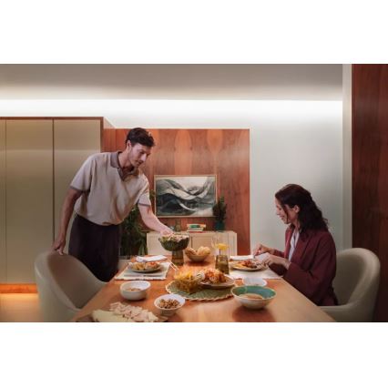 Philips - LED RGBW dimmelhető szalag Hue FLUX 10m LED/60W/230V 2200-6500K