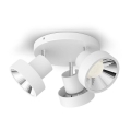 Philips - LED Spotlámpa 3xLED/4,5W/230V
