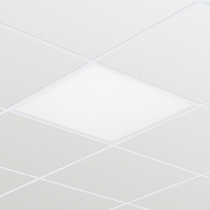 Philips RC065B LED34S/840 PSU W60L60 OC - LED Panel LED/38W/230V 4000K