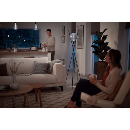 LED Dimmerelhető izzó SMOKY VINTAGE Philips E27/6,5W/230V 4000K