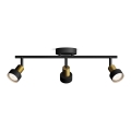 Philips - Spotlámpa CONDUIT 3xGU10/5W/230V fekete/réz