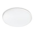 Philips - TWIRLY LED mennyezeti lámpa/17W/230V