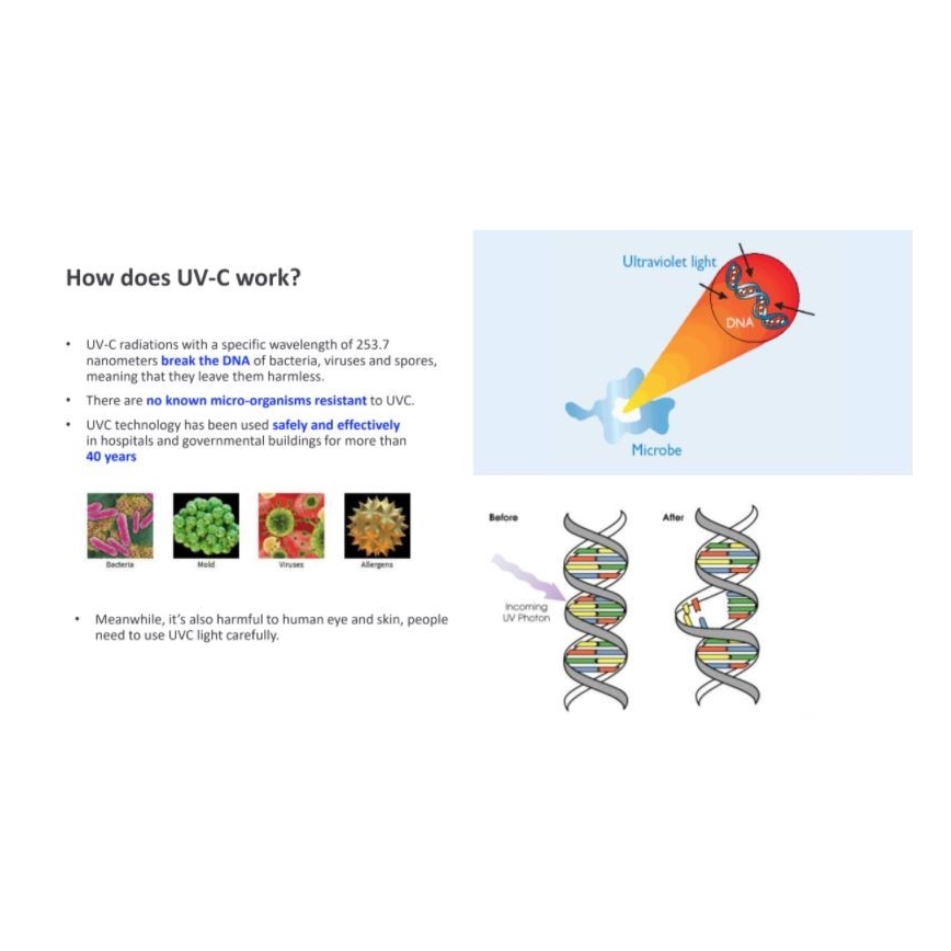 Philips - Fertőtlenítő germicid lámpa UV-C érzékelővel/24W/230V