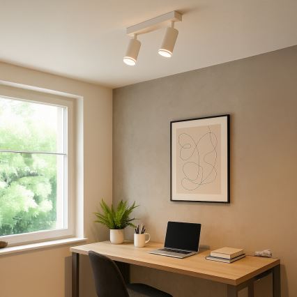 PIPE spotlámpa 2xGU10/10W/230V fehér