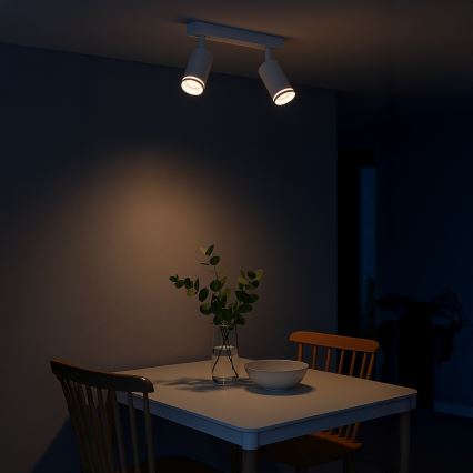 PIPE spotlámpa 2xGU10/10W/230V fehér