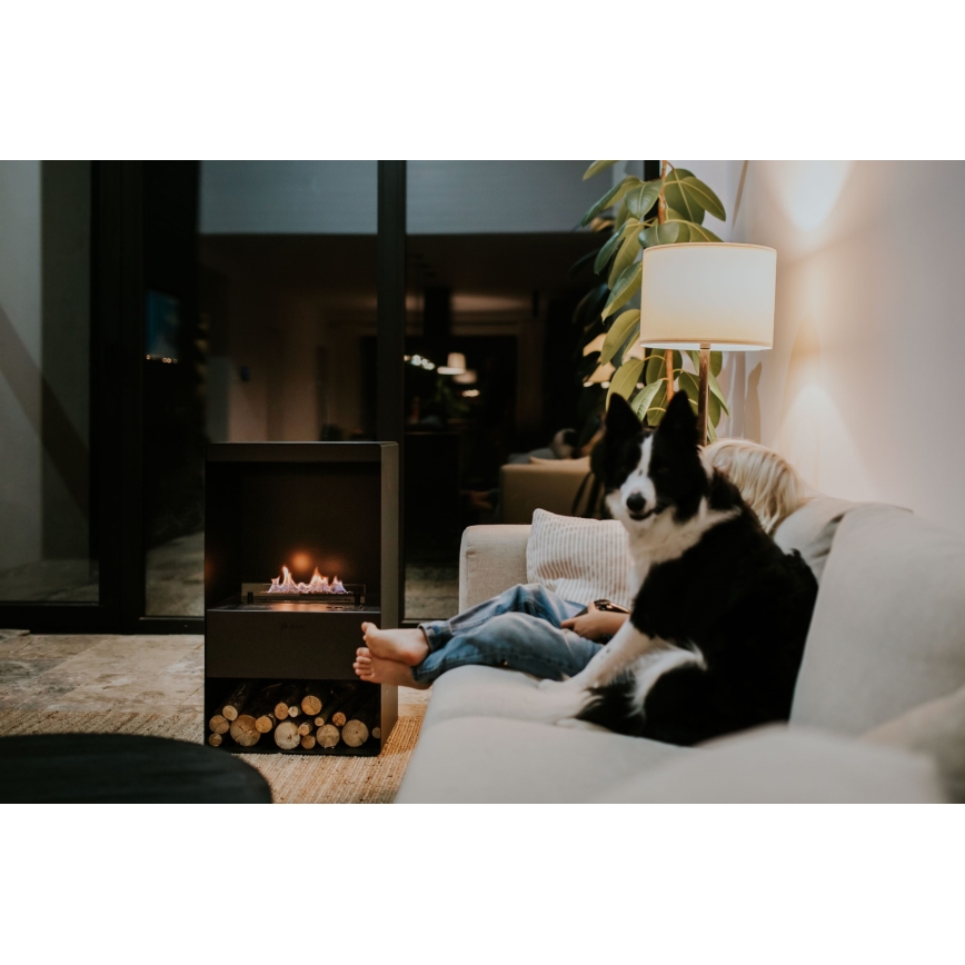 Planika - BIO kandalló távirányítással 83,5x48 cm 2,5kW/230V fekete