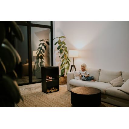Planika - BIO kandalló távirányítással 83,5x48 cm 2,5kW/230V fekete