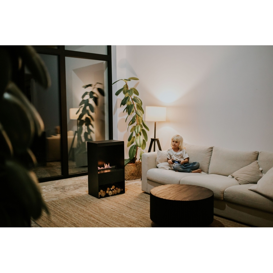 Planika - BIO kandalló távirányítással 83,5x48 cm 2,5kW/230V fekete