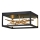 Quintiesse - LED mennyezeti lámpa STYX LED/8W/230V fekete/arany