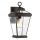 Quoizel - Kültéri fali lámpa RAVINE 1xE27/60W/230V IP44 barna