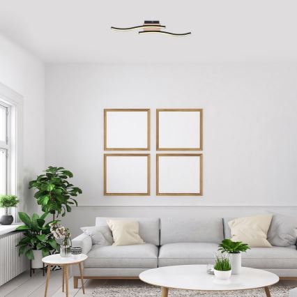 Rabalux - LED mennyezeti lámpa 2xLED/12W/230V