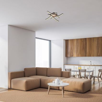 Rabalux - LED mennyezeti lámpa 4xLED/20W/230V