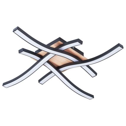 Rabalux - LED mennyezeti lámpa 4xLED/20W/230V