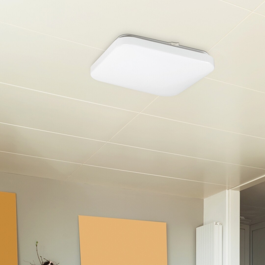 Rabalux 2286 - LED Menyezeti lámpa ROB 1xLED/20W/230V
