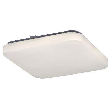 Rabalux 2286 - LED Menyezeti lámpa ROB 1xLED/20W/230V