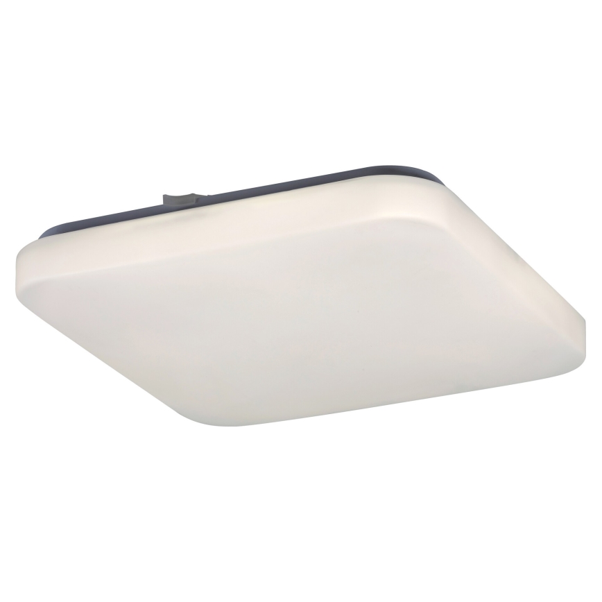 Rabalux 2286 - LED Menyezeti lámpa ROB 1xLED/20W/230V