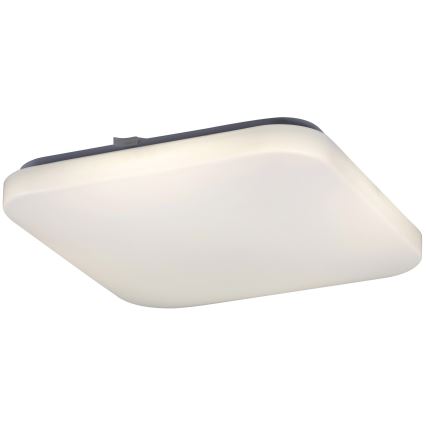 Rabalux 2287 - LED Menyezeti lámpa ROB 1xLED/32W/230V