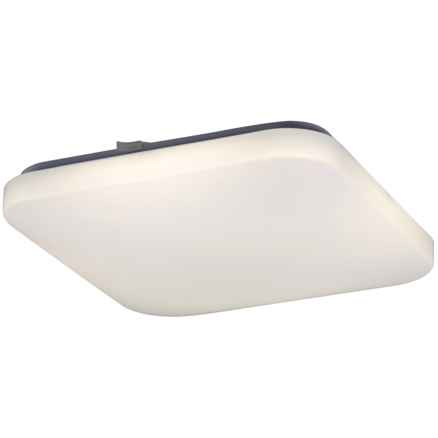 Rabalux 2287 - LED Menyezeti lámpa ROB 1xLED/32W/230V