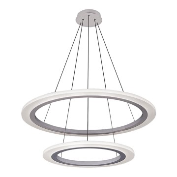 Rabalux 2429 - LED Csillár ADRIENNE LED/62W/230V ezüst