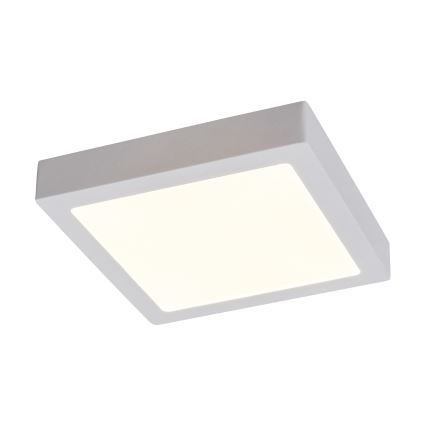 Rabalux - LED Mennyezeti lámpa LED/18W/230V