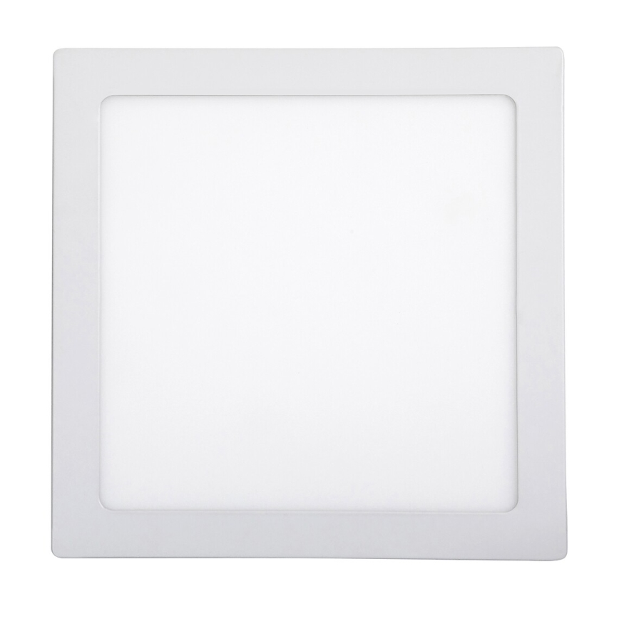 Rabalux - LED Mennyezeti lámpa LED/18W/230V