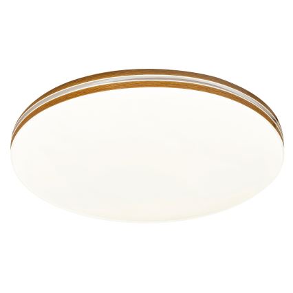 Rabalux 2763 - LED Menyezeti lámpa OSCAR 1xLED/18W/230V