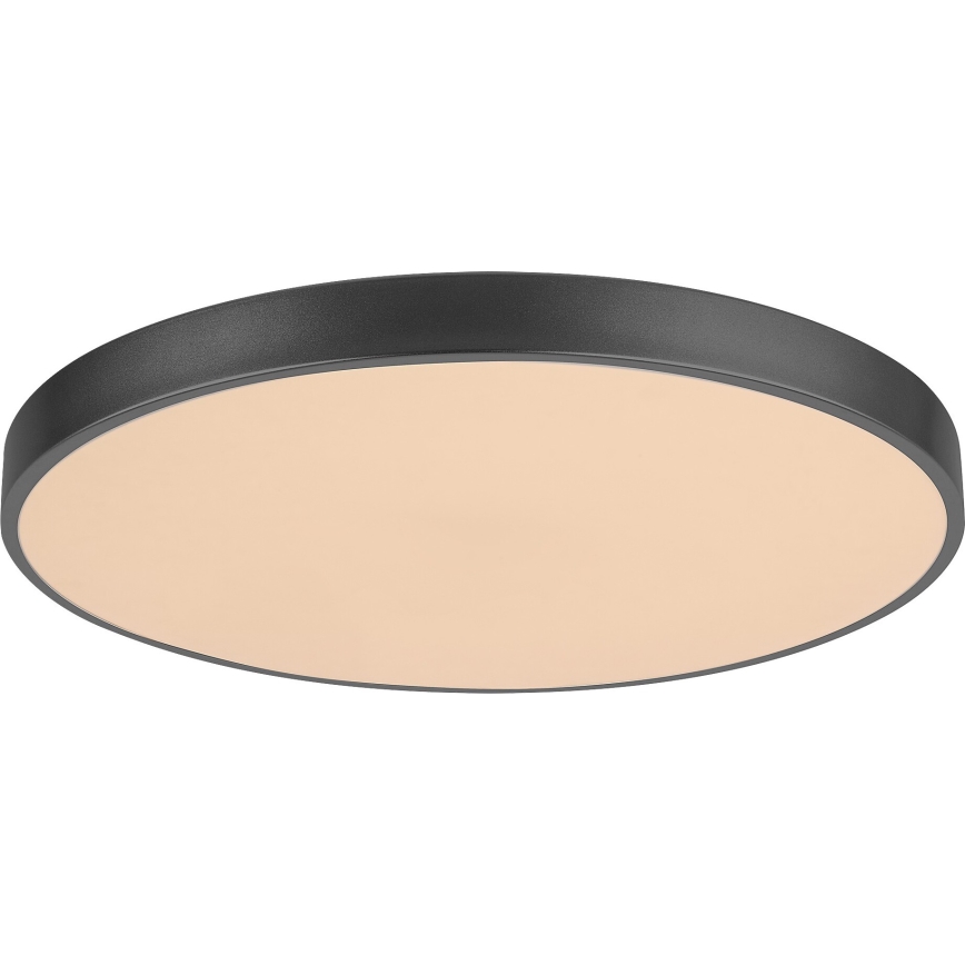 Rabalux - LED dimmelhető mennyezeti lámpatest LED/60W/230V 60 cm + távirányító átmérő 60 cm