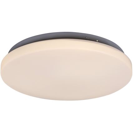 Rabalux - LED mennyezeti lámpatest LED/20W/230V, átm. 29 cm