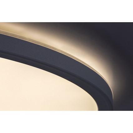 Rabalux - fényerőszabályozható LED mennyezeti lámpa LED/22W/230V, átm. 42 cm