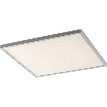 Rabalux 3430 - LED Szabályozható mennyezeti lámpa PAVEL LED/22W/230V