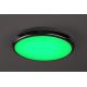 Rabalux - LED RGB Szabályozható fürdőszobai mennyezeti lámpa LED/18W/230V átm. 30 cm 3000-6500K IP44 + távirányítás