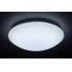 Rabalux - LED RGB Szabályozható mennyezeti lámpa távirányítóval LED/16W/230V