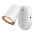 Rabalux 5045 - LED Fali spotlámpa SOLANGE LED/6W/230V