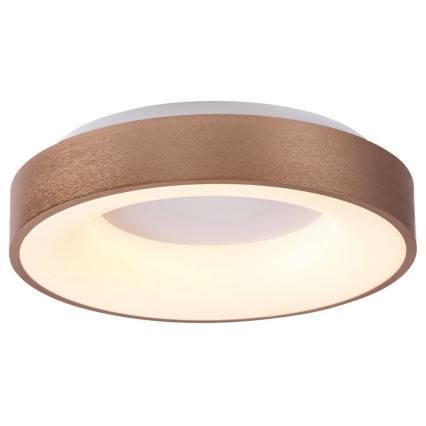 Rabalux - LED Mennyezeti lámpa CARMELA LED/50W/230V átm. 60 cm